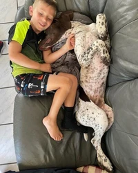 REBLL-A Manifesto for Dog Owners Who Want More Than Obedience