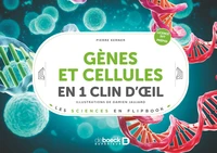 Gènes et cellules en un 1 clin d’œil