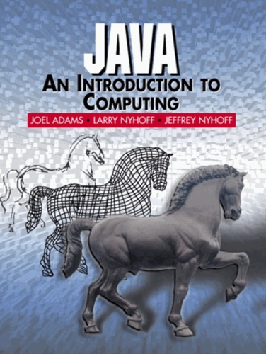 Java - An Introduction to Computing.
