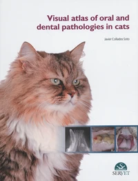 Visual atlas of oral and dental pathologies in cats