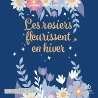 Les rosiers fleurissent en hiver
