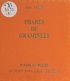 Jean Aron - Phares de graminées.