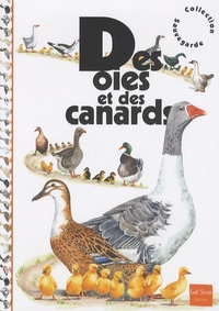 Jean-Baptiste de Panafieu - Des oies et des canards.