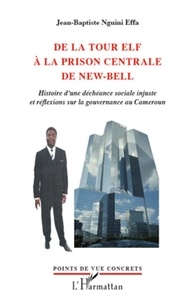 Jean-Baptiste Nguini Effa - De la tour Elf à la prison centrale de New-Bell - Histoire d'une déchéance sociale injuste et réflexions sur la gouvernance au Cameroun.