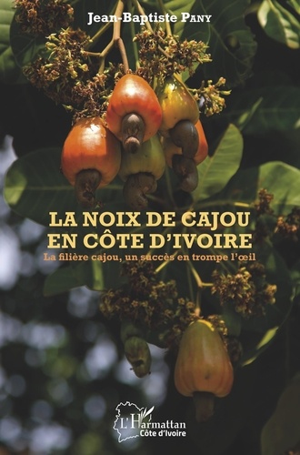 La noix de cajou en Côte d'Ivoire. La filière cajou, un succès en trompe l'oeil