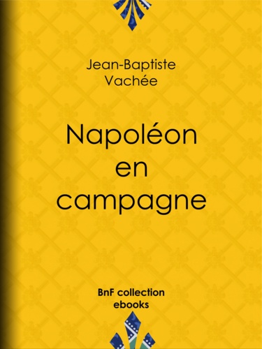 Napoléon en campagne