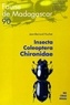Jean-Bernard Huchet et  Quae - Insecta coleoptera chironidae.