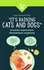 It's raining cats and dogs. Et autres expressions idiomatiques anglaises