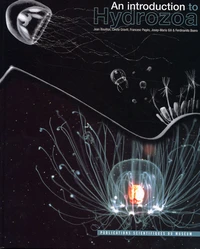 An introduction to Hydrozoa