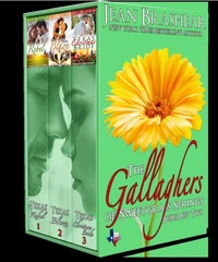 The Gallaghers of Sweetgrass Springs Boxed Set Two