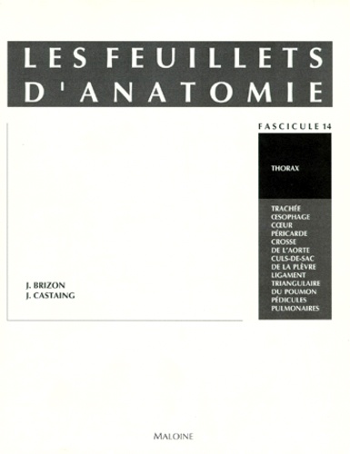 Jean Brizon et Jean Castaing - Les Feuillets d'anatomie - Tome 14, Thorax.