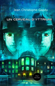 Un cerveau d'yttrium