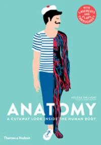 Anatomy: a cutaway look inside the human body