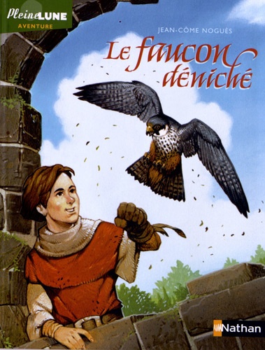 Le faucon déniché de Jean-Côme Noguès - Poche - Livre - Decitre