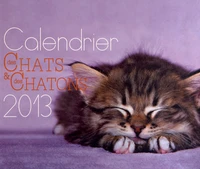 Calendrier des chats et des chatons 2013