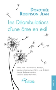 Les Déambulations d'une âme en exil