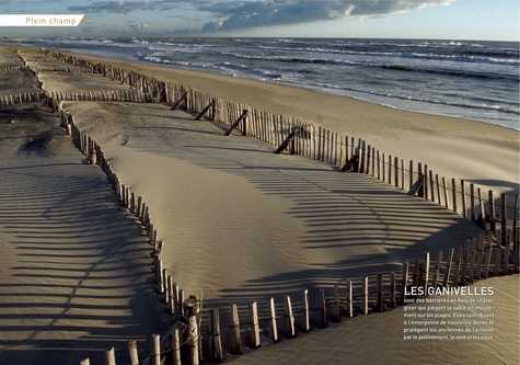 Camargue : 15 belles balades