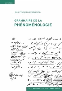 Jean-François Aenishanslin - Grammaire de la phénoménologie.