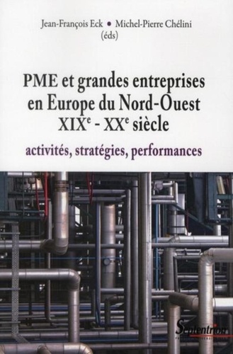 PME et grandes entreprises en Europe du Nord-Ouest XIXe-XXe siècle. Activités, stratégies, performances