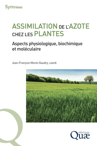 Assimilation de l'azote chez les plantes. Aspects physiologique, biochimique et moléculaire