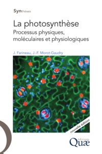 Jean-François Morot-Gaudry et Jack Farineau - La photosynthèse - Processus physiques, moléculaires et physiologiques.