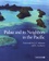 Palau and its Neighbors in the Pacific