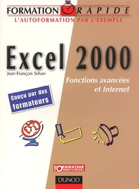 Excel 2000. Fonctions Avancees Et Internet