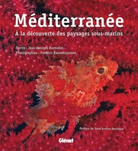 Jean-Georges Harmelin et Frédéric Bassemayousse - Méditerranée - A la découverte des paysages sous-marins.