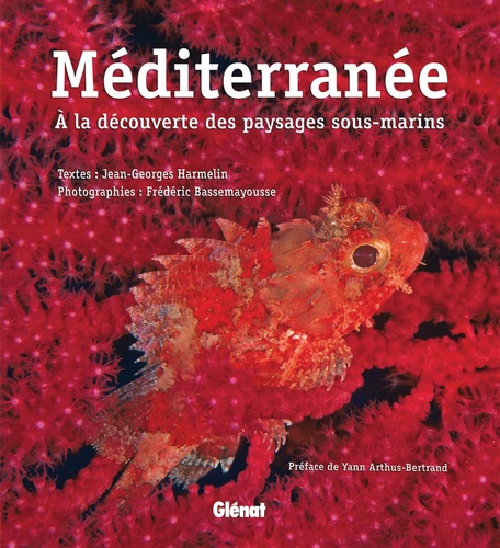 Méditerranée. A la découverte des paysages sous-marins