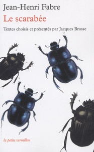 Le scarabée.pdf