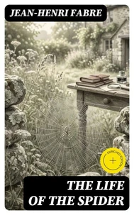 The Life of the Spider