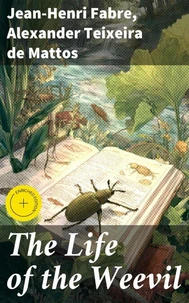 The Life of the Weevil