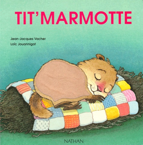 Tit Marmotte De Jean Jacques Vacher Album Livre Decitre