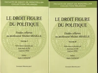 Le droit figure du politique