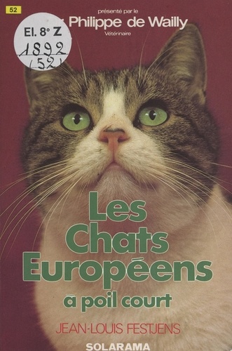 Les chats européens à poil court