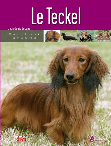 Jean-Louis Jacops - Le Teckel.