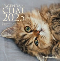 L'agenda du chat