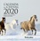 L'agenda du cheval  Edition 2020