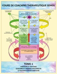 Jean-Louis Penin - Analyse des systèmes et gestion des émotions - Coaching thérapeutique SDHEA.
