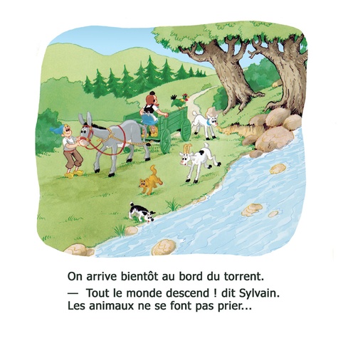Sylvain et Sylvette Tome 1 Le pique-nique des animaux