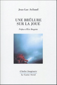 Jean-Luc Aribaud - Une brûlure sur la joue.