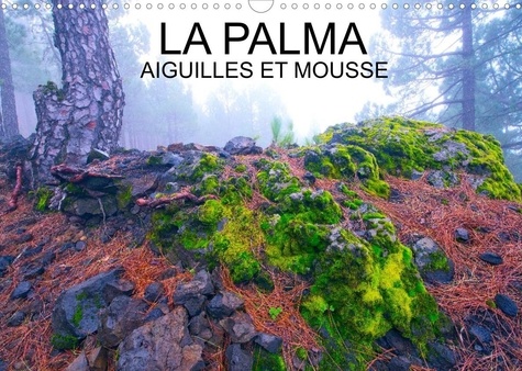 Jean-Luc Bohin - CALVENDO Places  : LA PALMA AIGUILLES ET MOUSSES (Calendrier mural 2022 DIN A3 horizontal) - Aiguilles et mousses des pinèdes de l'île de La palma, dans l'archipel des Canaries (Calendrier mensuel, 14 Pages ).