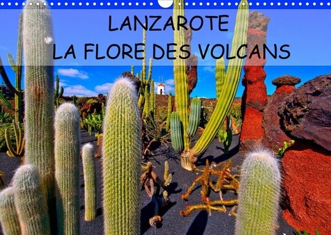 Jean-Luc Bohin - CALVENDO Places  : LANZAROTE LA FLORE DES VOLCANS (Calendrier mural 2022 DIN A3 horizontal) - LANZAROTE DES CHAMPS DE LAVE NATURELLEMENT FERTILES (Calendrier mensuel, 14 Pages ).