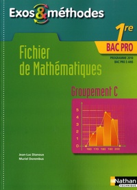 Jean-Luc Dianoux - Fichier de mathématiques 1e Bac pro 3 ans - Groupement C.