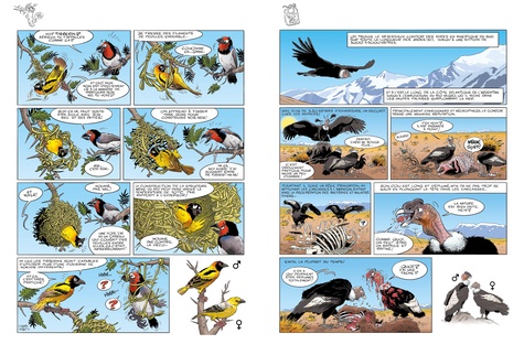 Les oiseaux en bande dessinée Tome 2
