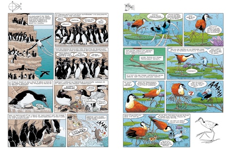 Les oiseaux en bande dessinée Tome 2