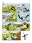 Les oiseaux en bande dessinée Tome 3