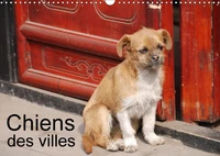 Chiens des villes (Calendrier mural 2017 DIN A3 horizontal)