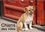 Chiens des villes (Calendrier mural 2017 DIN A3 horizontal). La vie canine en ville (Calendrier mensuel, 14 Pages )