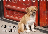 Chiens des villes (Calendrier mural 2017 DIN A4 horizontal)